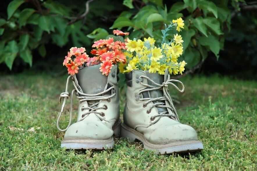 Старі черевики стали відмінним домом для квітучих петуній